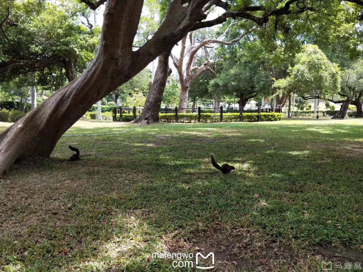 星霖之家 Daire Taichung Dış mekan fotoğraf